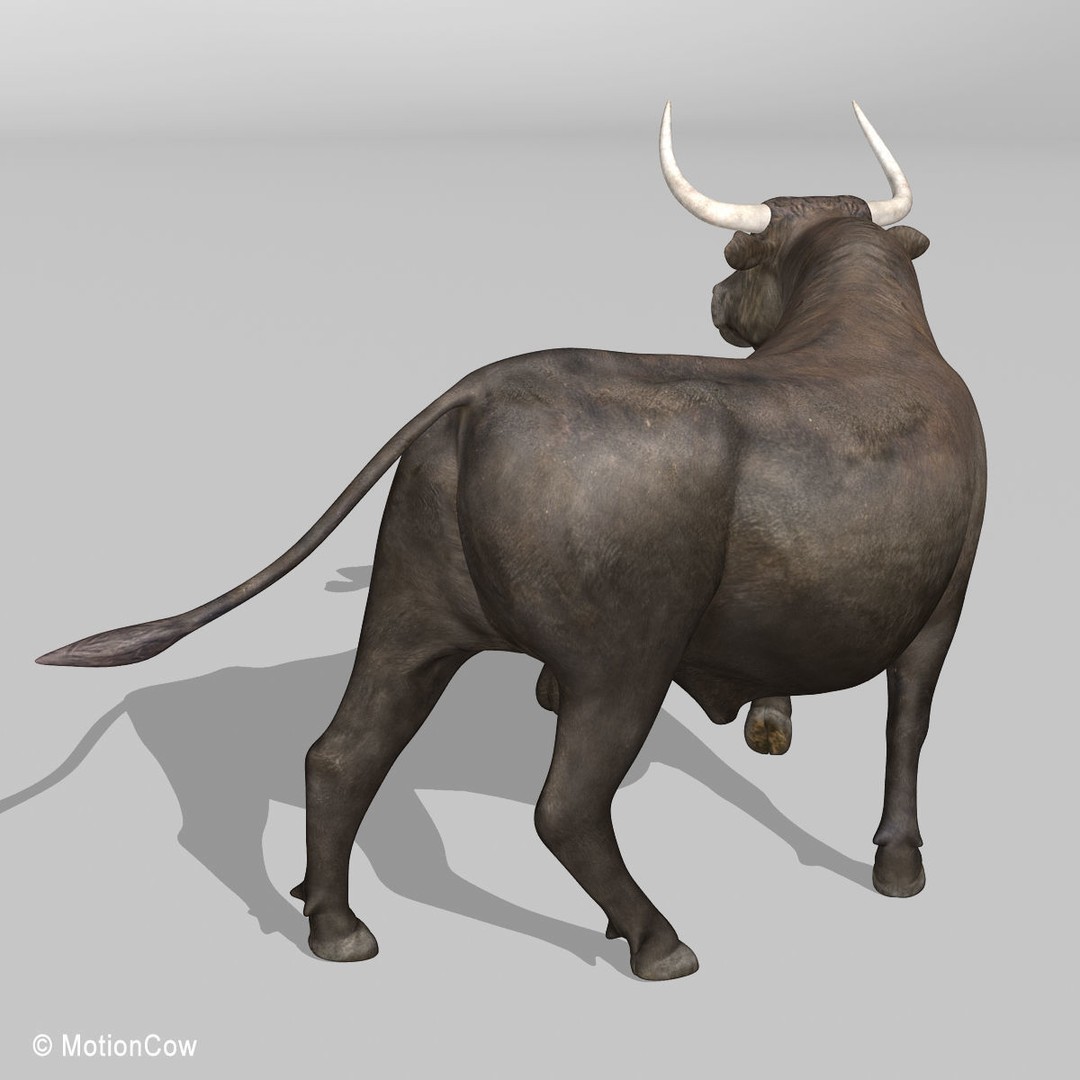 Bull 3D Model – Rigged Animation-Ready Game Asset, FBX - View 8