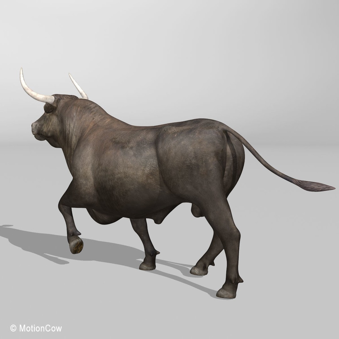 Bull 3D Model – Rigged Animation-Ready Game Asset, FBX - View 9