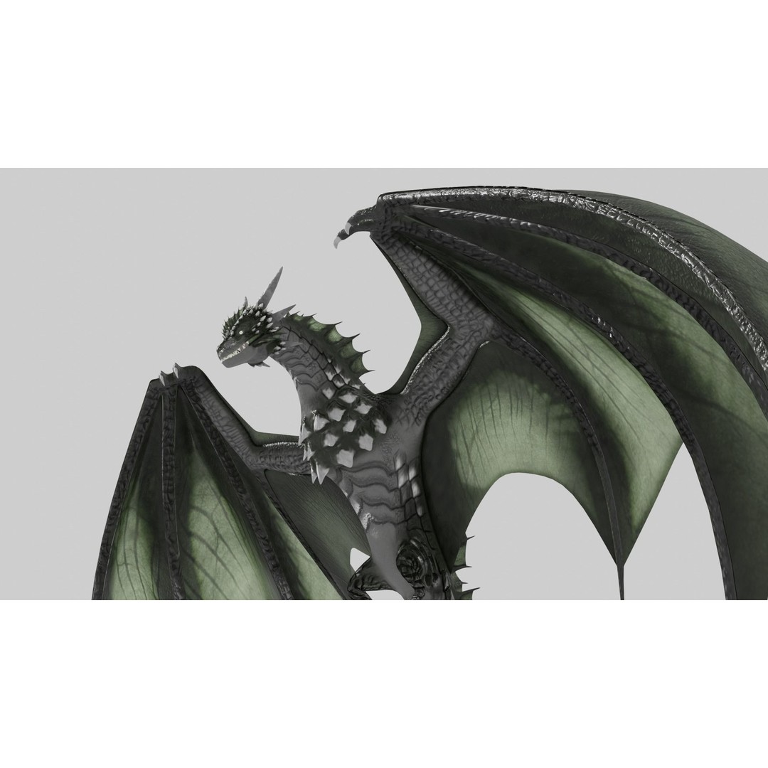 Wyvern Dragon 3D Model – Low Poly Animated Game Asset, Blender - View 14