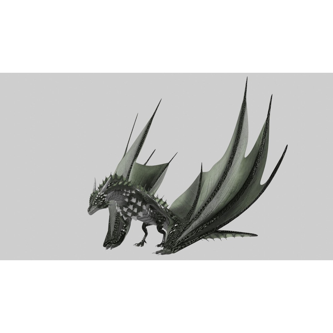 Wyvern Dragon 3D Model – Low Poly Animated Game Asset, Blender - View 3