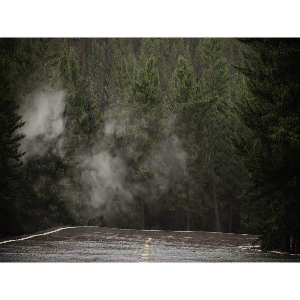 Fog Decals 3D Model – Photorealistic Texture Pack for Environments - View 10