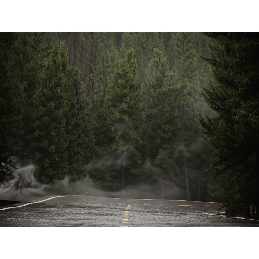 Fog Decals 3D Model – Photorealistic Texture Pack for Environments - View 11