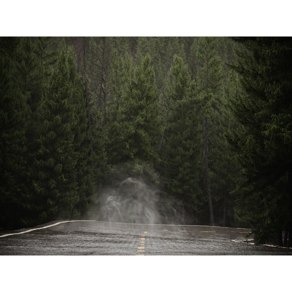 Fog Decals 3D Model – Photorealistic Texture Pack for Environments - View 12