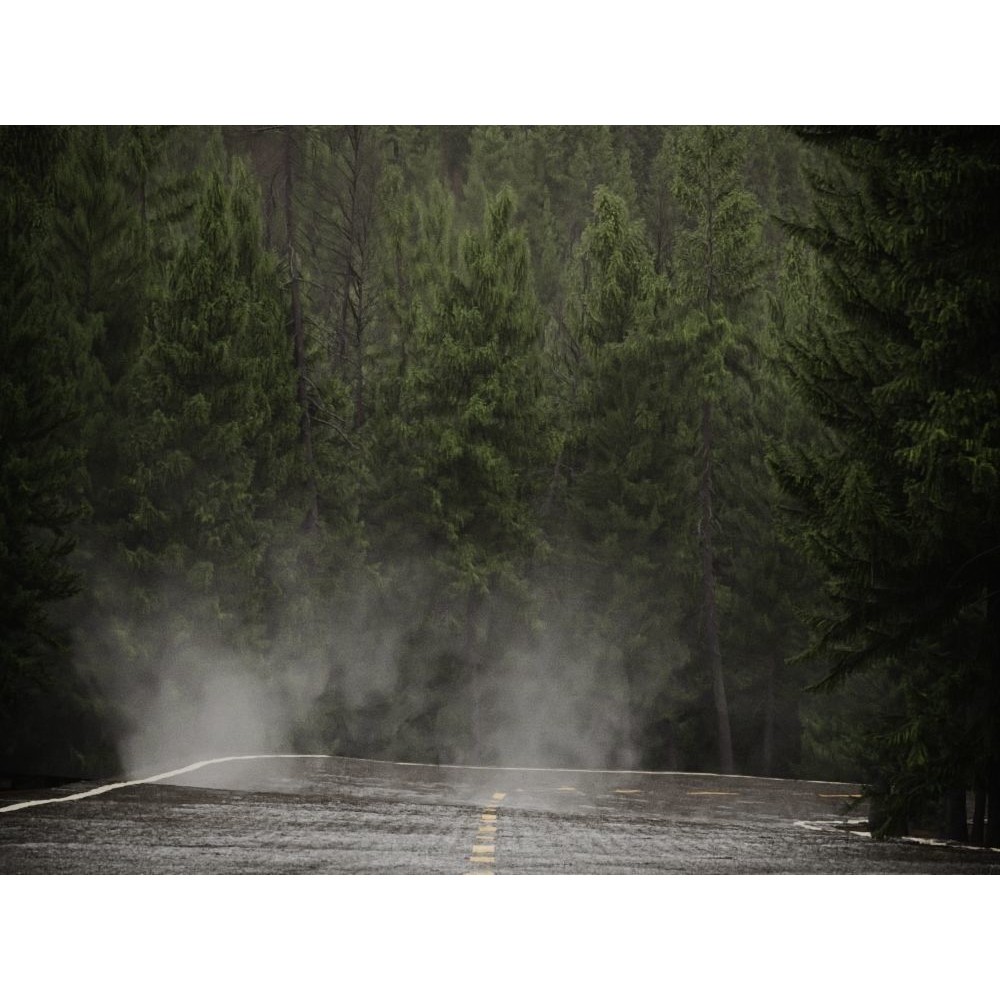 Fog Decals 3D Model – Photorealistic Texture Pack for Environments - View 13