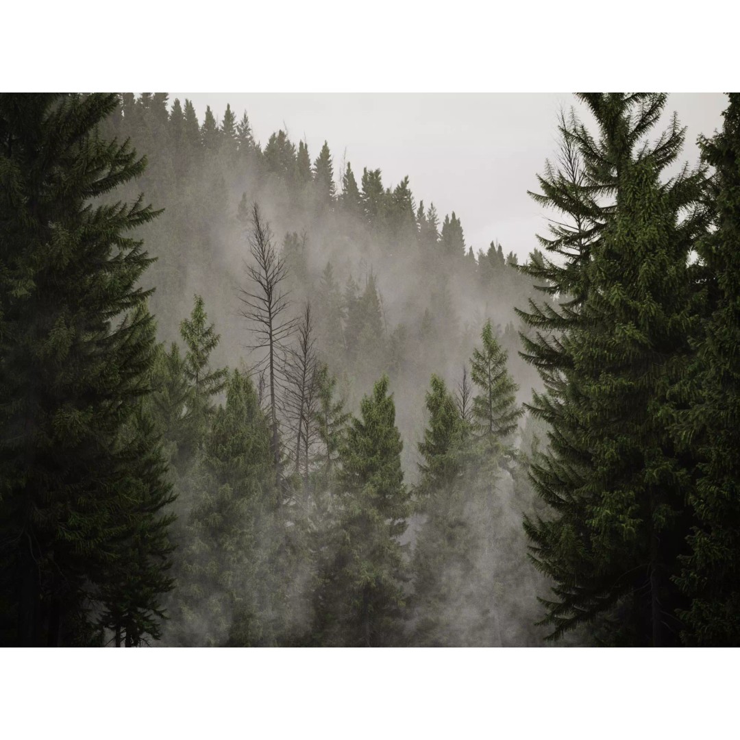 Fog Decals 3D Model – Photorealistic Texture Pack for Environments - View 2