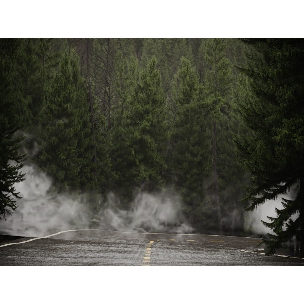 Fog Decals 3D Model – Photorealistic Texture Pack for Environments - View 6