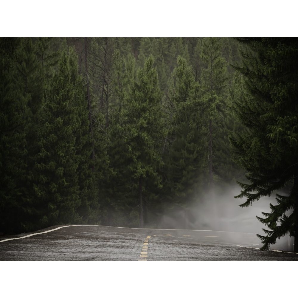 Fog Decals 3D Model – Photorealistic Texture Pack for Environments - View 7