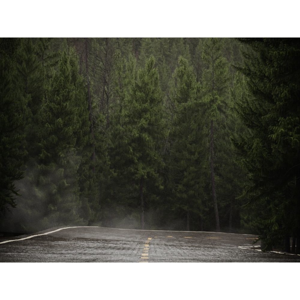 Fog Decals 3D Model – Photorealistic Texture Pack for Environments - View 9