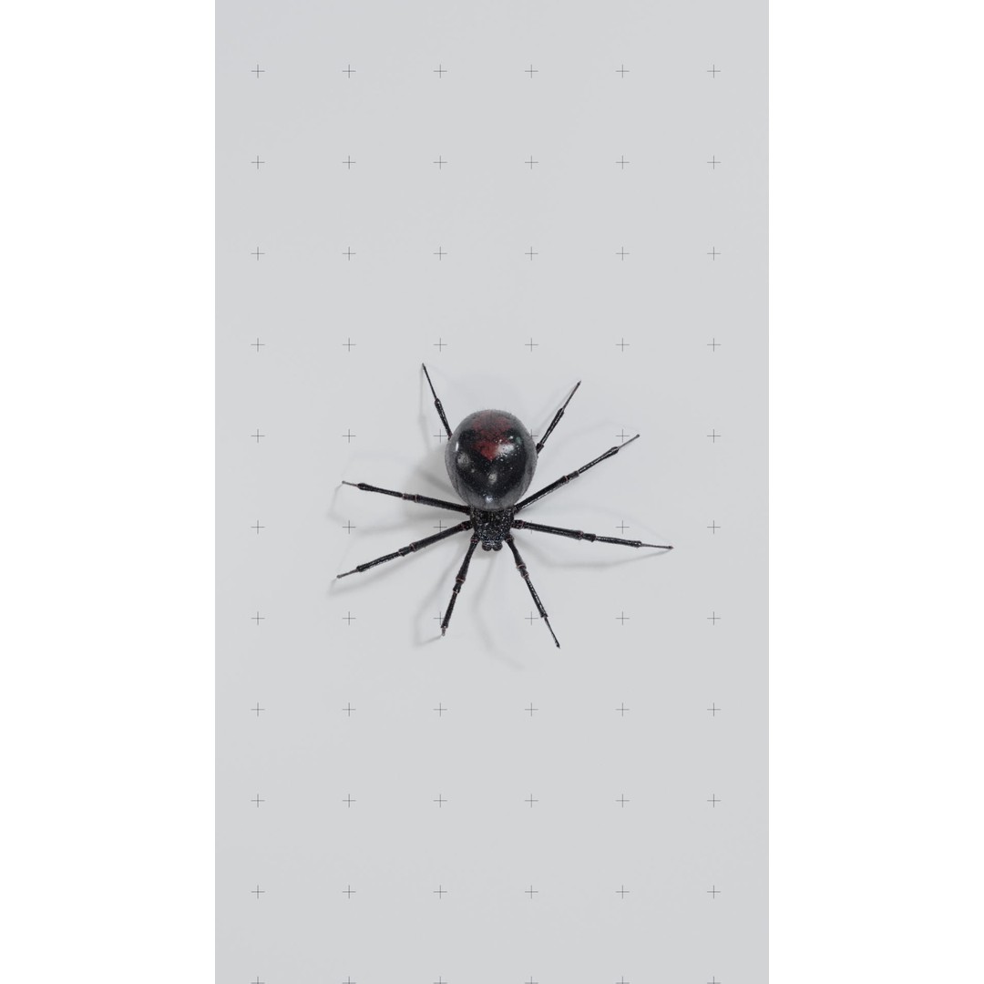 Black Widow 3D Model – Low Poly Rigged Character for Animation - View 5