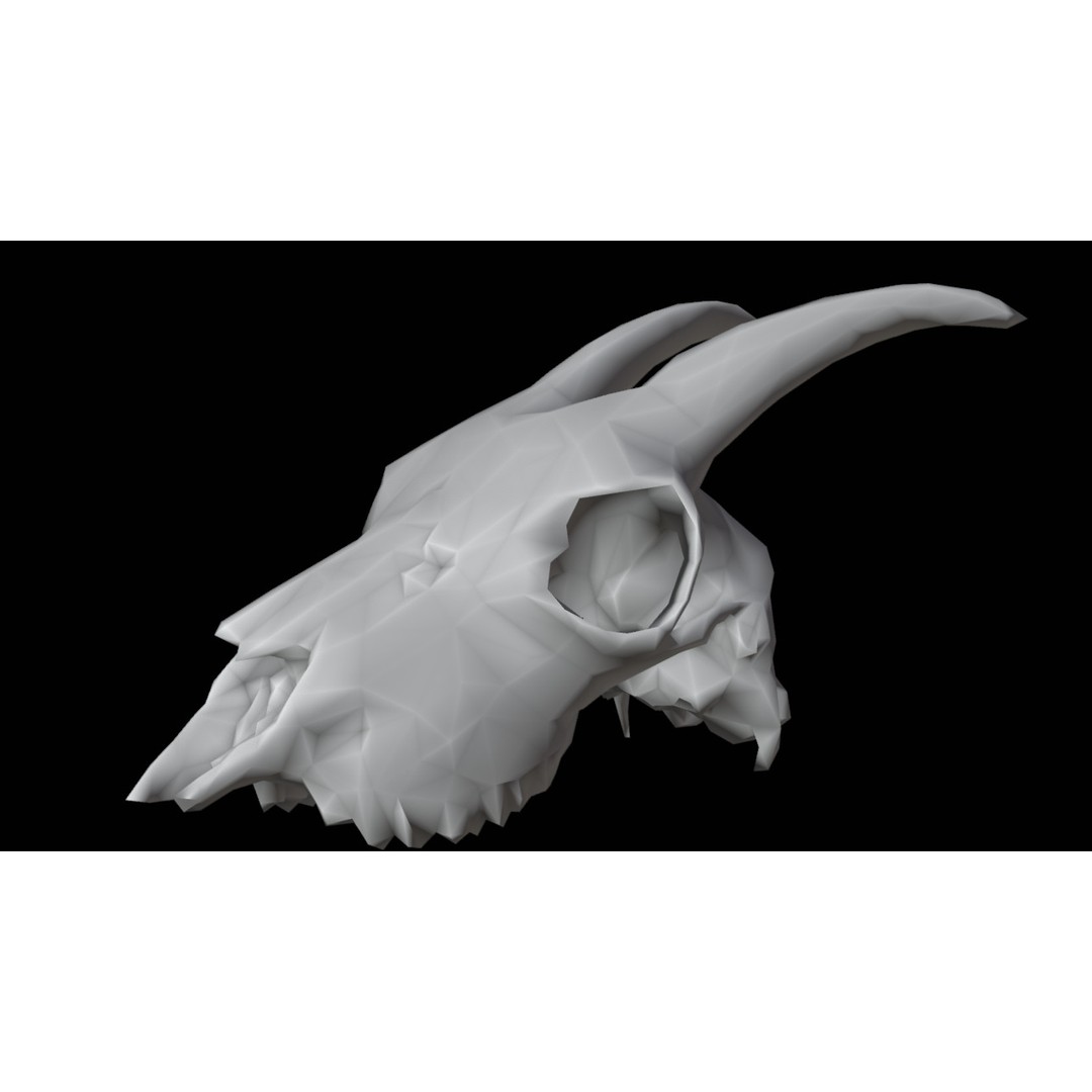 Goat Skull 3D Model – Realistic Low Poly PBR Asset, Game Ready - View 12