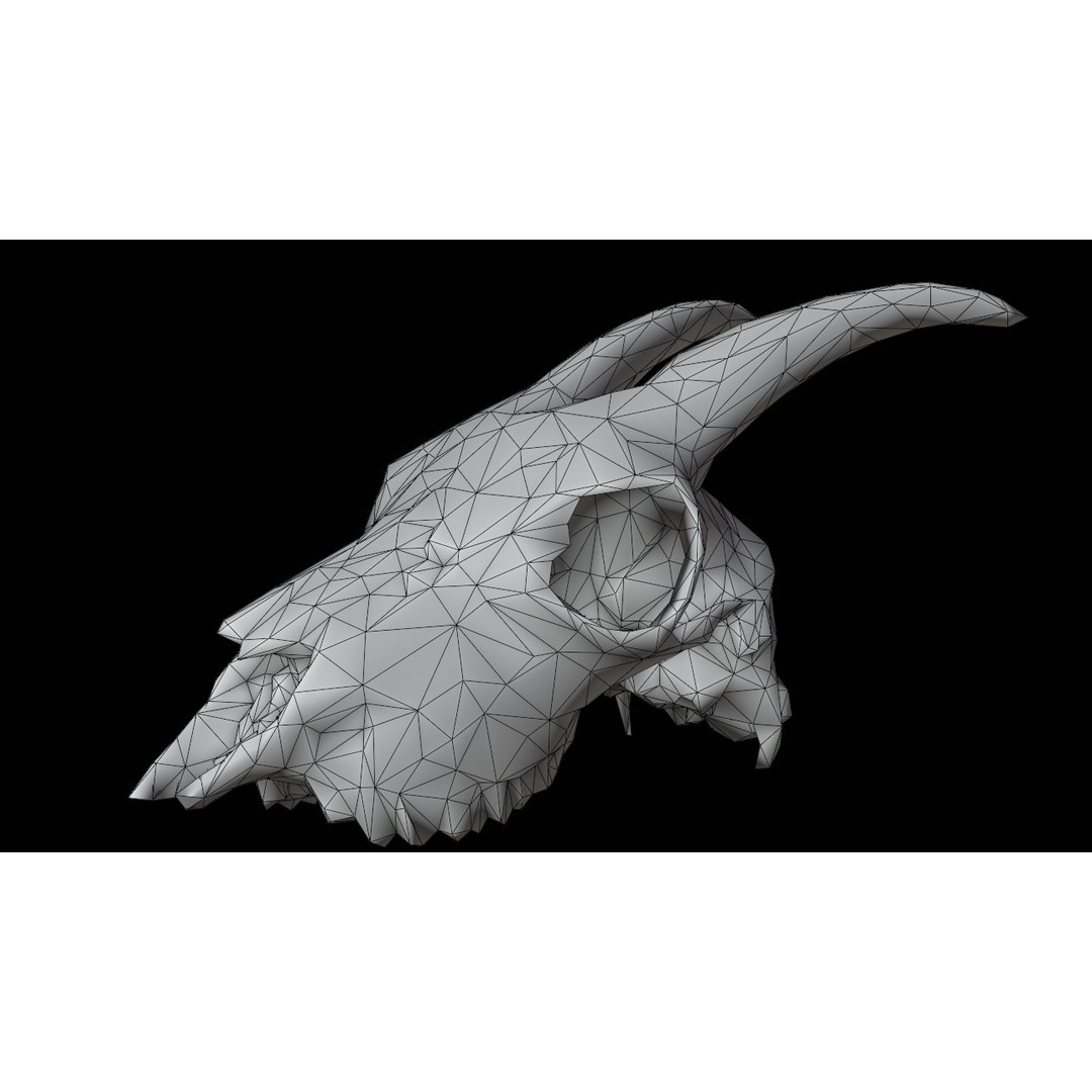 Goat Skull 3D Model – Realistic Low Poly PBR Asset, Game Ready - View 13