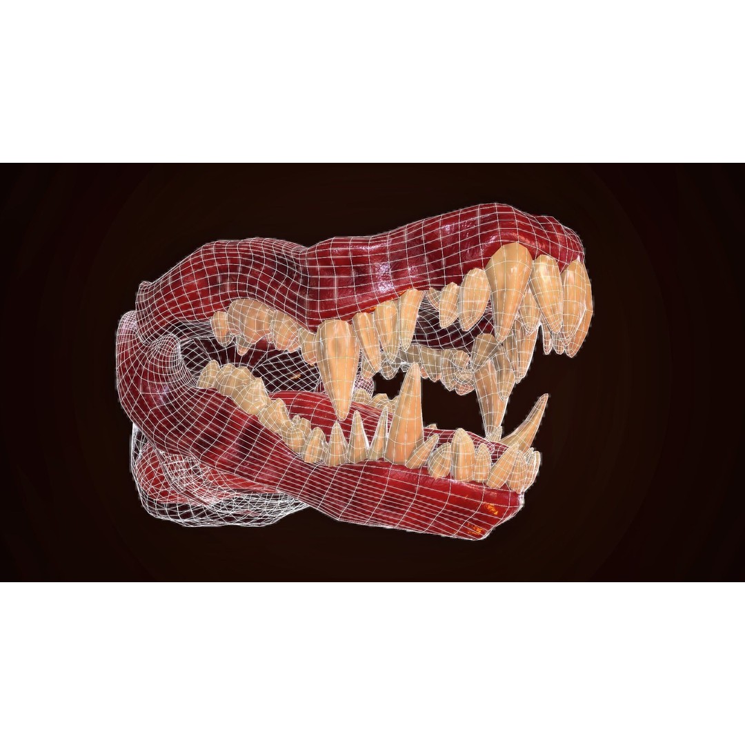Dragon Teeth 3D Model – Low Poly Game Asset, Rigged, FBX - View 12
