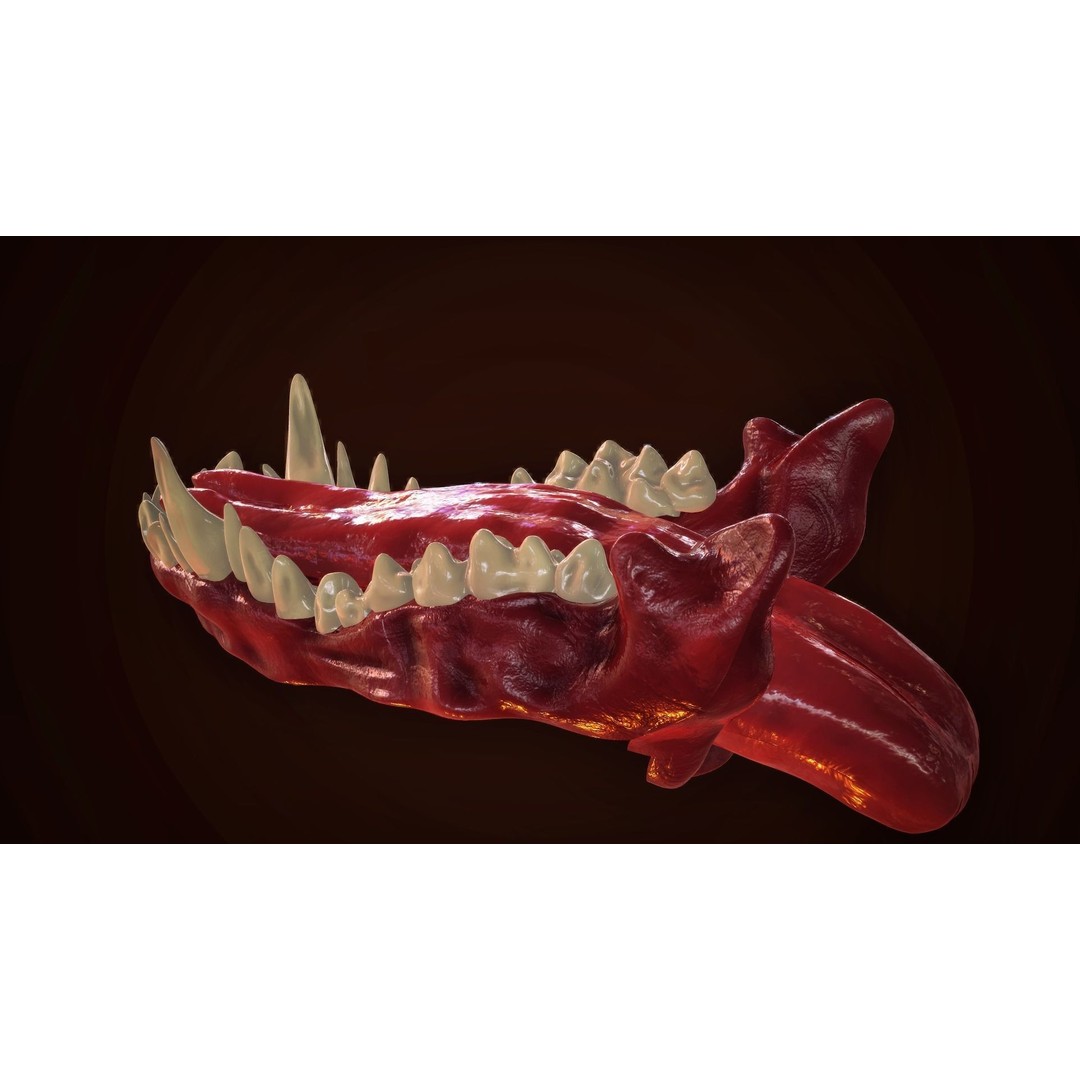 Dragon Teeth 3D Model – Low Poly Game Asset, Rigged, FBX - View 8