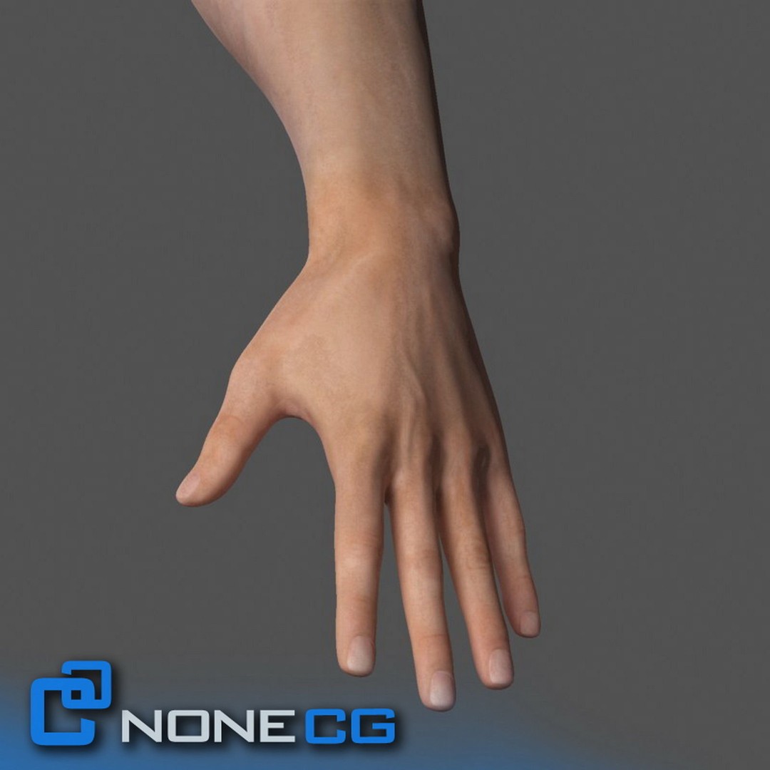 Rigged Male Arms and Hands 3D Model – Detailed Animation Asset, FBX - View 10