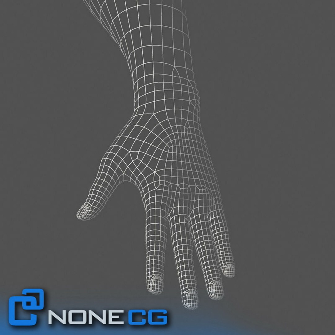 Rigged Male Arms and Hands 3D Model – Detailed Animation Asset, FBX - View 11