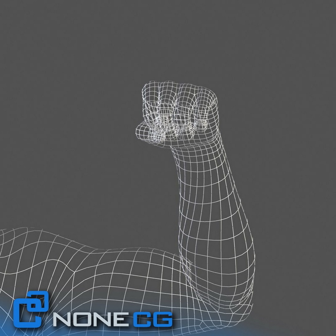 Rigged Male Arms and Hands 3D Model – Detailed Animation Asset, FBX - View 12