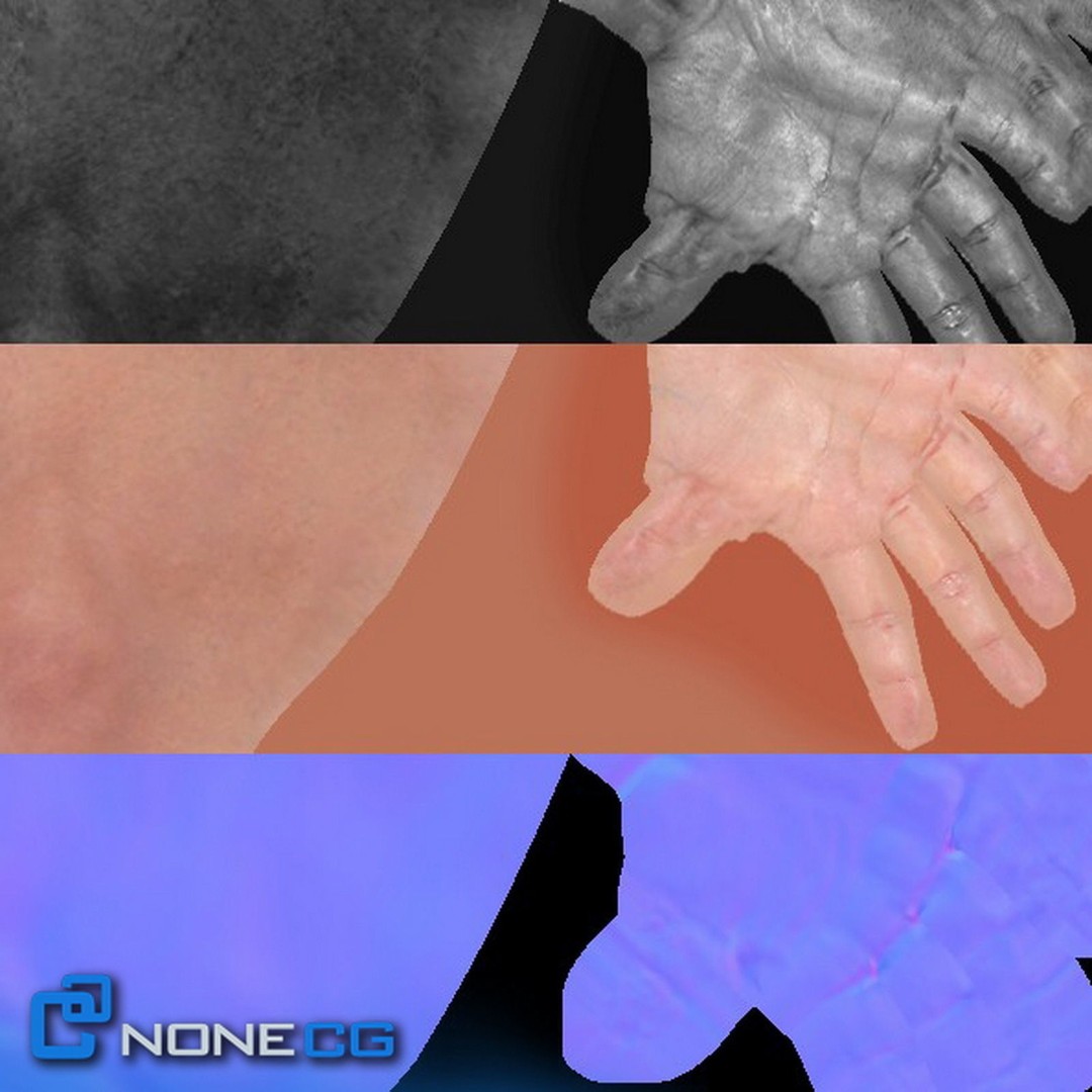 Rigged Male Arms and Hands 3D Model – Detailed Animation Asset, FBX - View 14