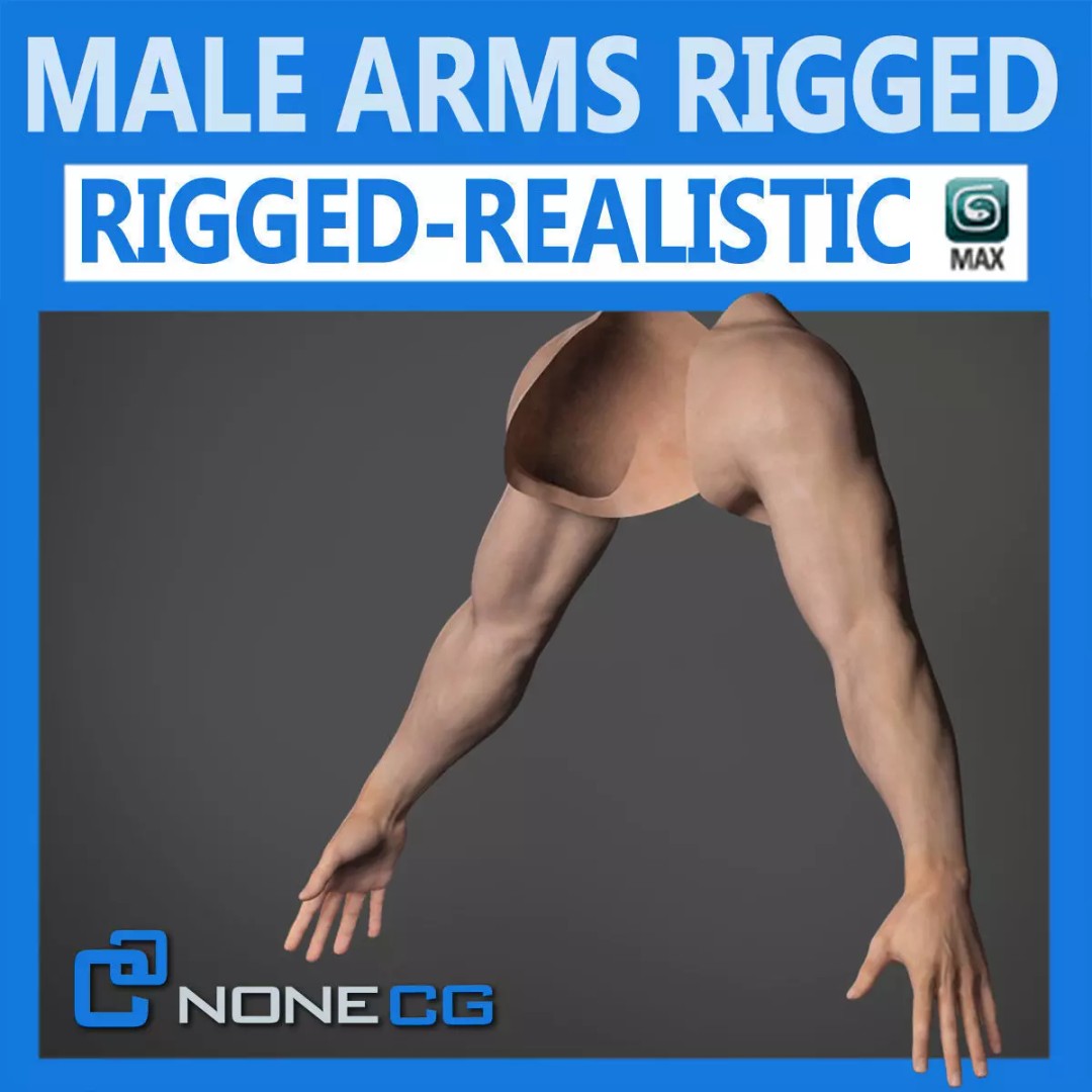 Rigged Male Arms and Hands 3D Model – Detailed Animation Asset, FBX - View 2