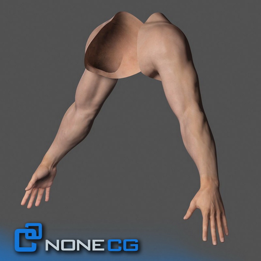 Rigged Male Arms and Hands 3D Model – Detailed Animation Asset, FBX - View 3