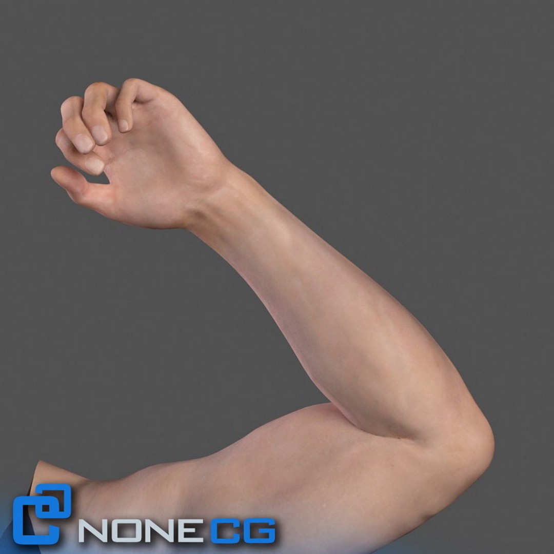Rigged Male Arms and Hands 3D Model – Detailed Animation Asset, FBX - View 5
