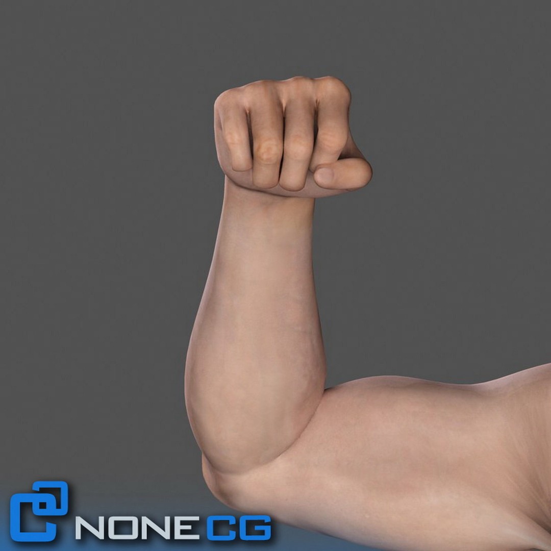 Rigged Male Arms and Hands 3D Model – Detailed Animation Asset, FBX - View 8