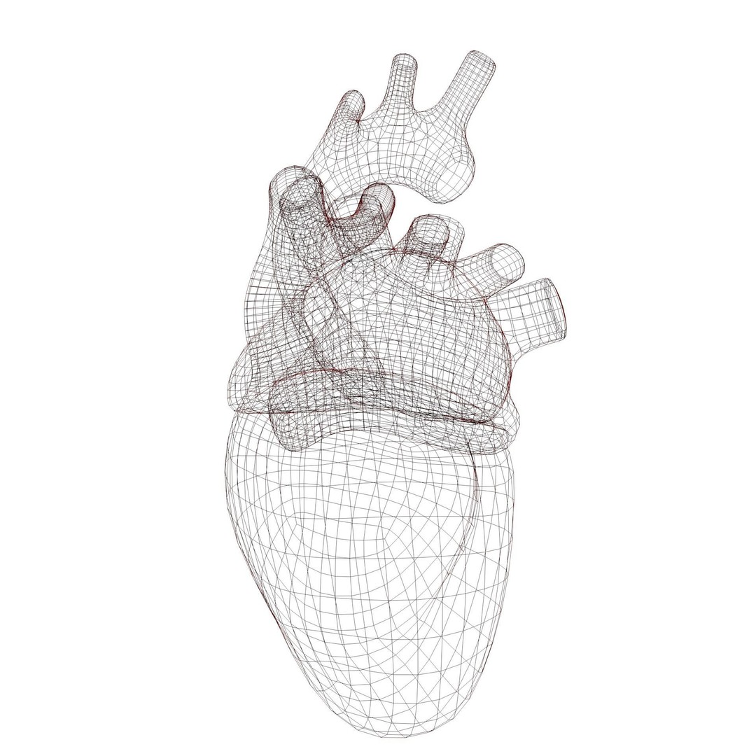 Human Heart 3D Model – Low Poly Game Asset, FBX, PBR Textures