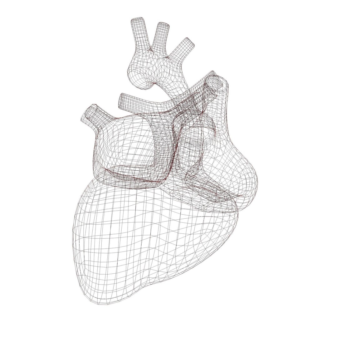 Human Heart 3D Model – Low Poly Game Asset, FBX, PBR Textures - View 10