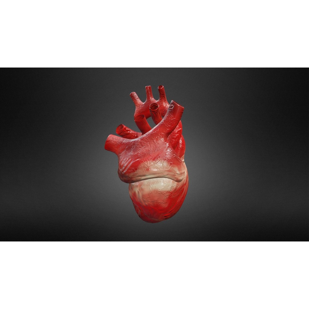 Human Heart 3D Model – Low Poly Game Asset, FBX, PBR Textures - View 4