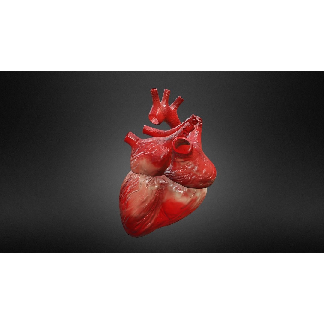 Human Heart 3D Model – Low Poly Game Asset, FBX, PBR Textures - View 5