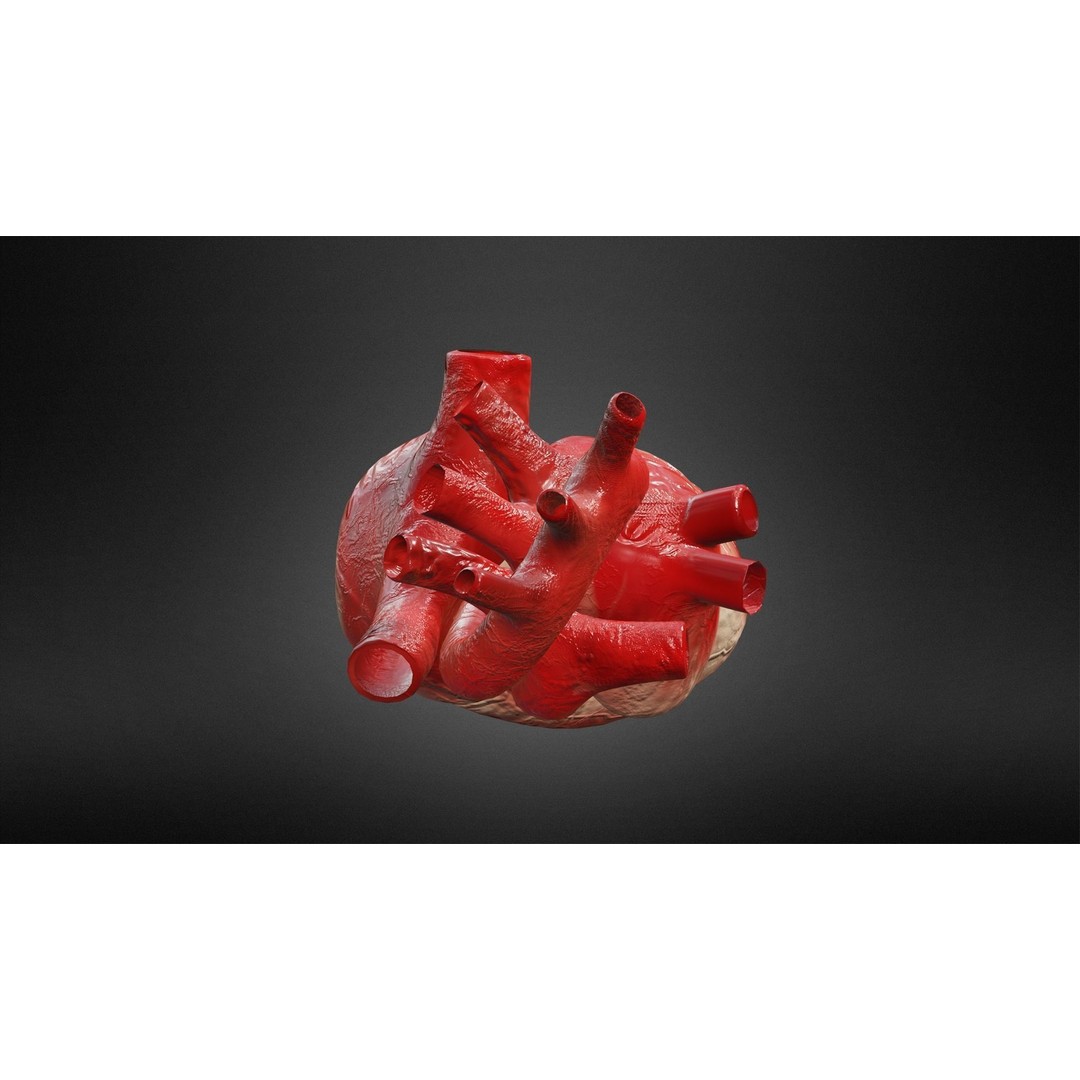 Human Heart 3D Model – Low Poly Game Asset, FBX, PBR Textures - View 6