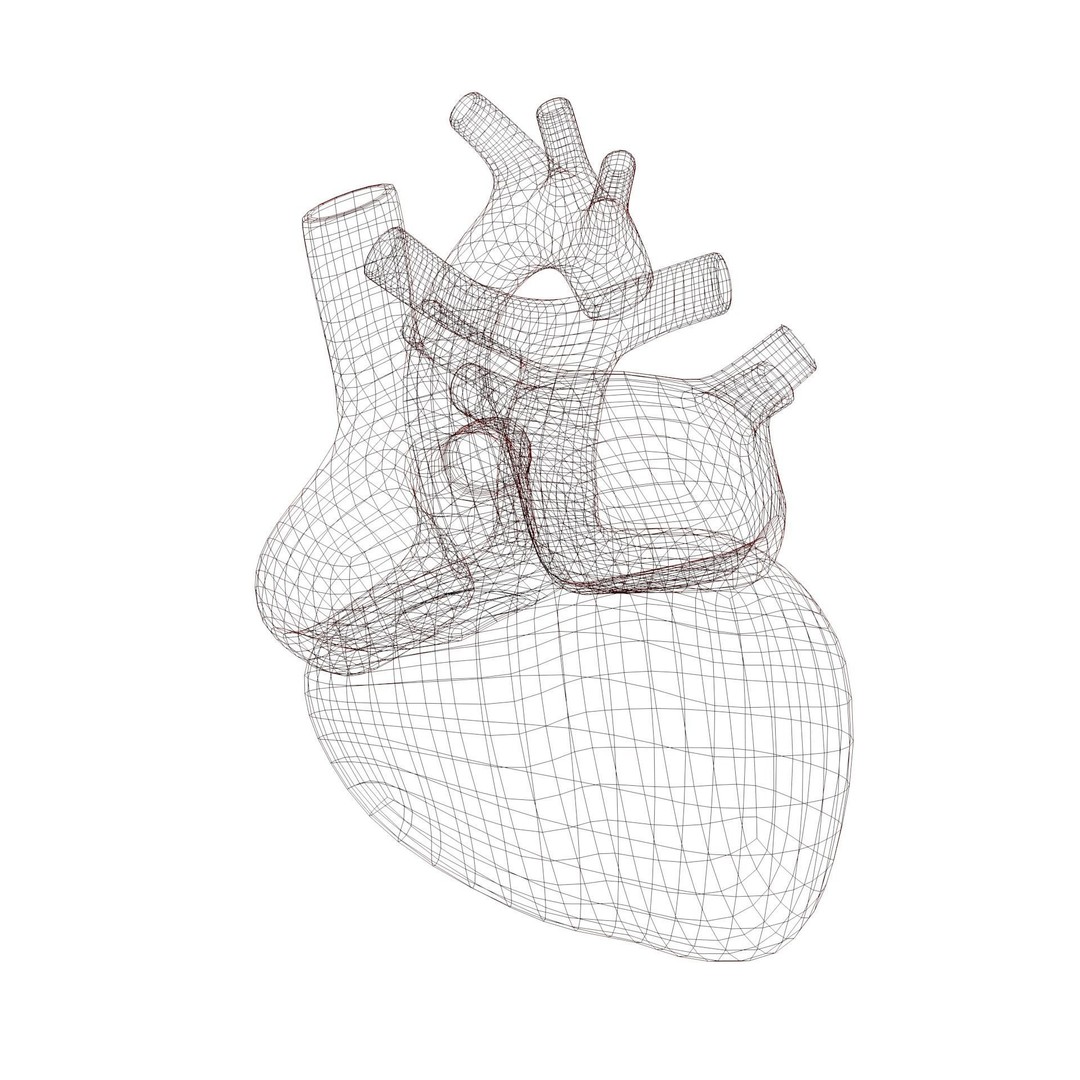 Human Heart 3D Model – Low Poly Game Asset, FBX, PBR Textures - View 8