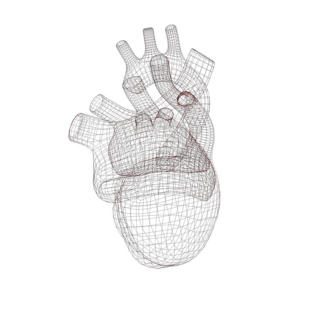 Human Heart 3D Model – Low Poly Game Asset, FBX, PBR Textures - View 9