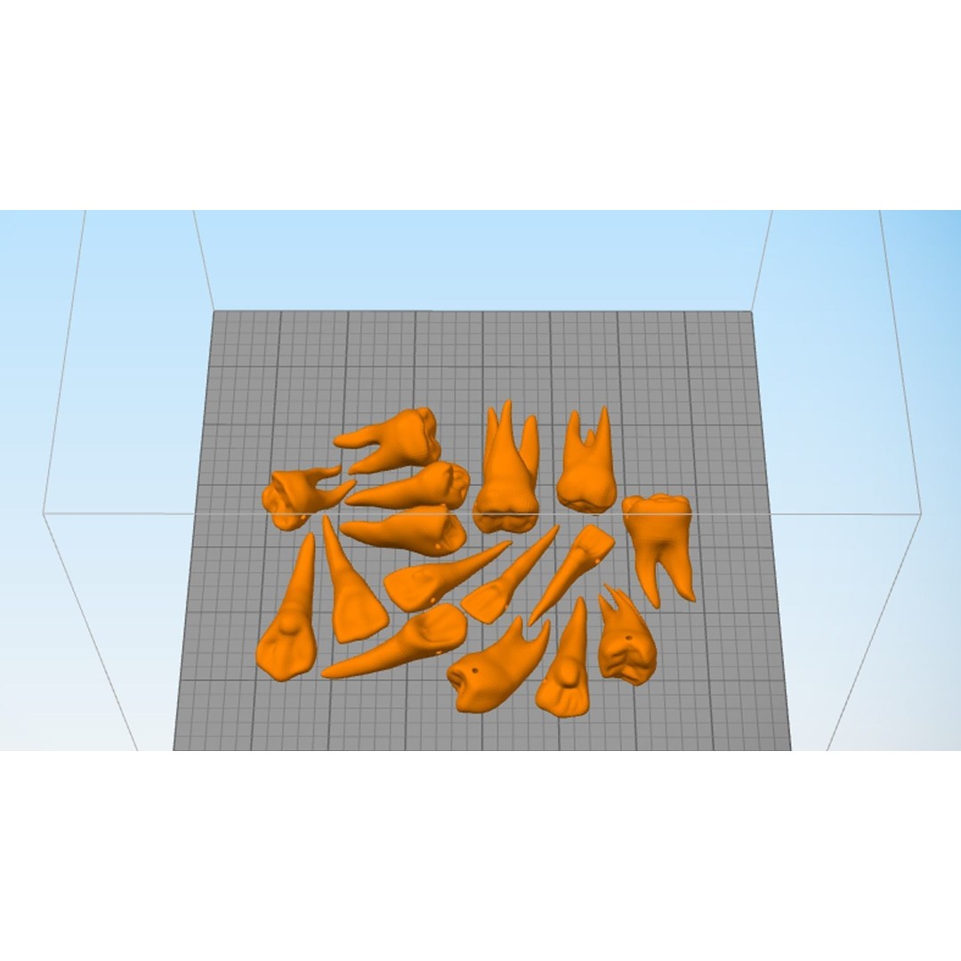 Teeth Pack 3D Model – Low Poly Game Asset, PBR Textures, FBX