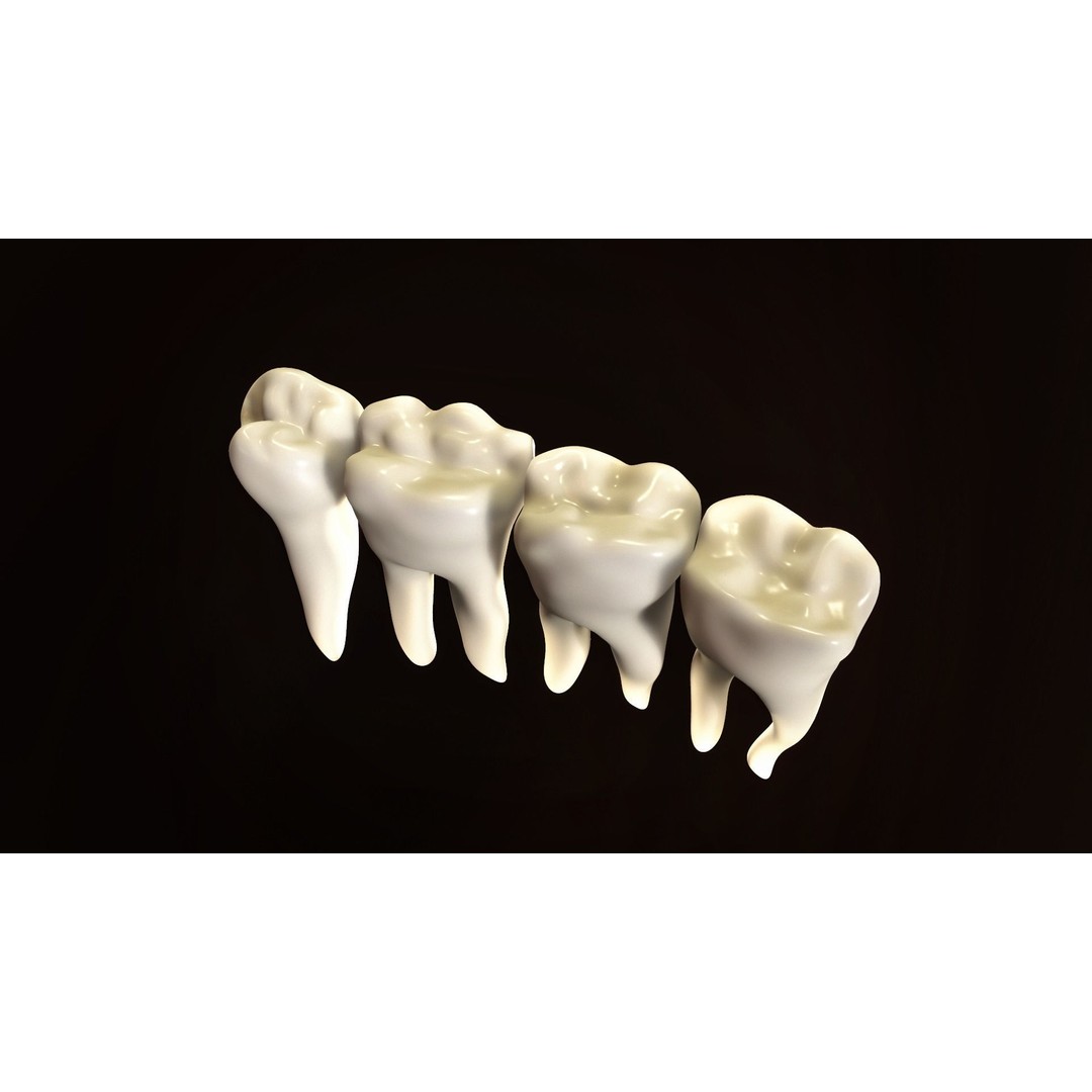 Teeth Pack 3D Model – Low Poly Game Asset, PBR Textures, FBX - View 10