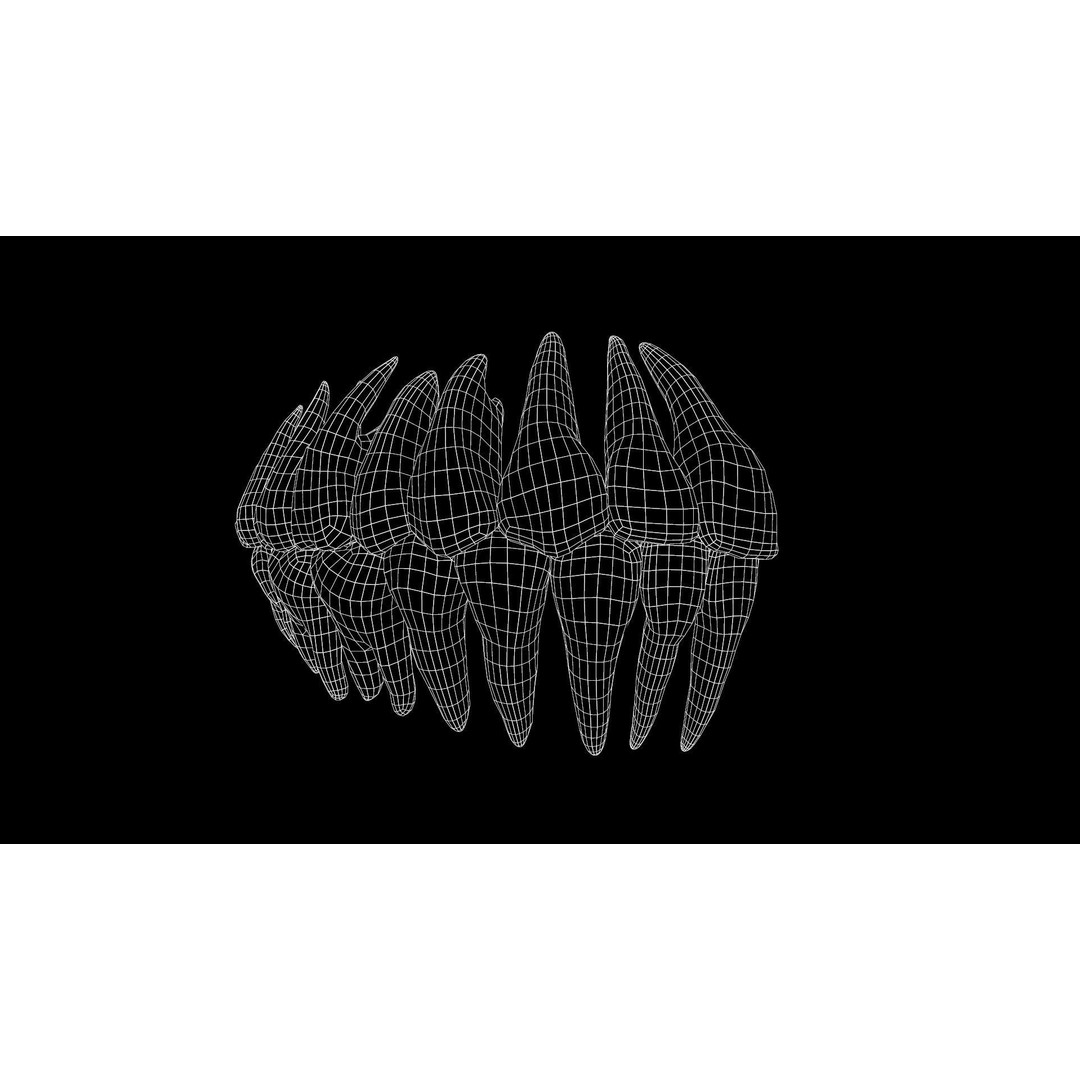 Teeth Pack 3D Model – Low Poly Game Asset, PBR Textures, FBX - View 15