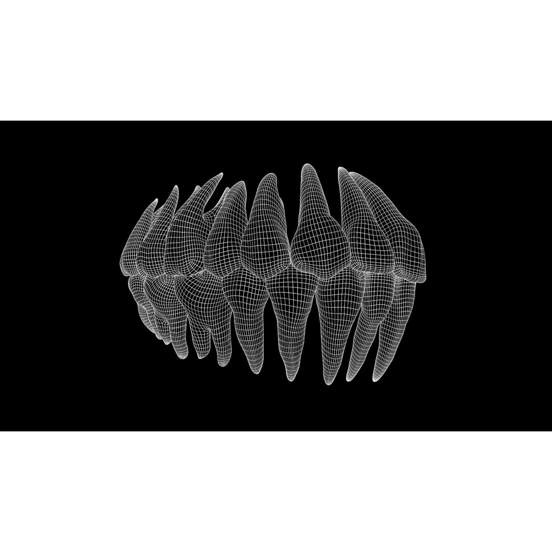 Teeth Pack 3D Model – Low Poly Game Asset, PBR Textures, FBX - View 16
