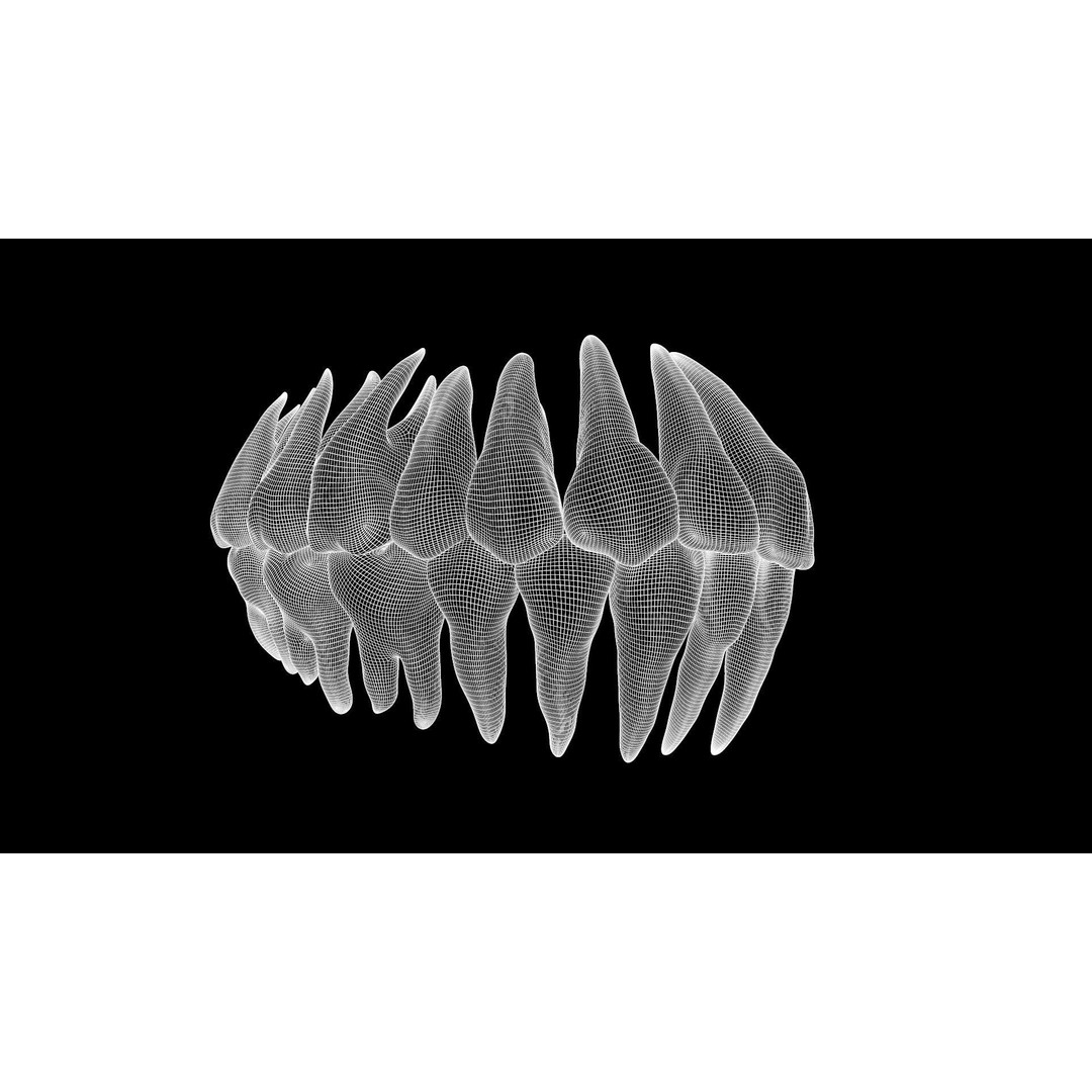 Teeth Pack 3D Model – Low Poly Game Asset, PBR Textures, FBX - View 17