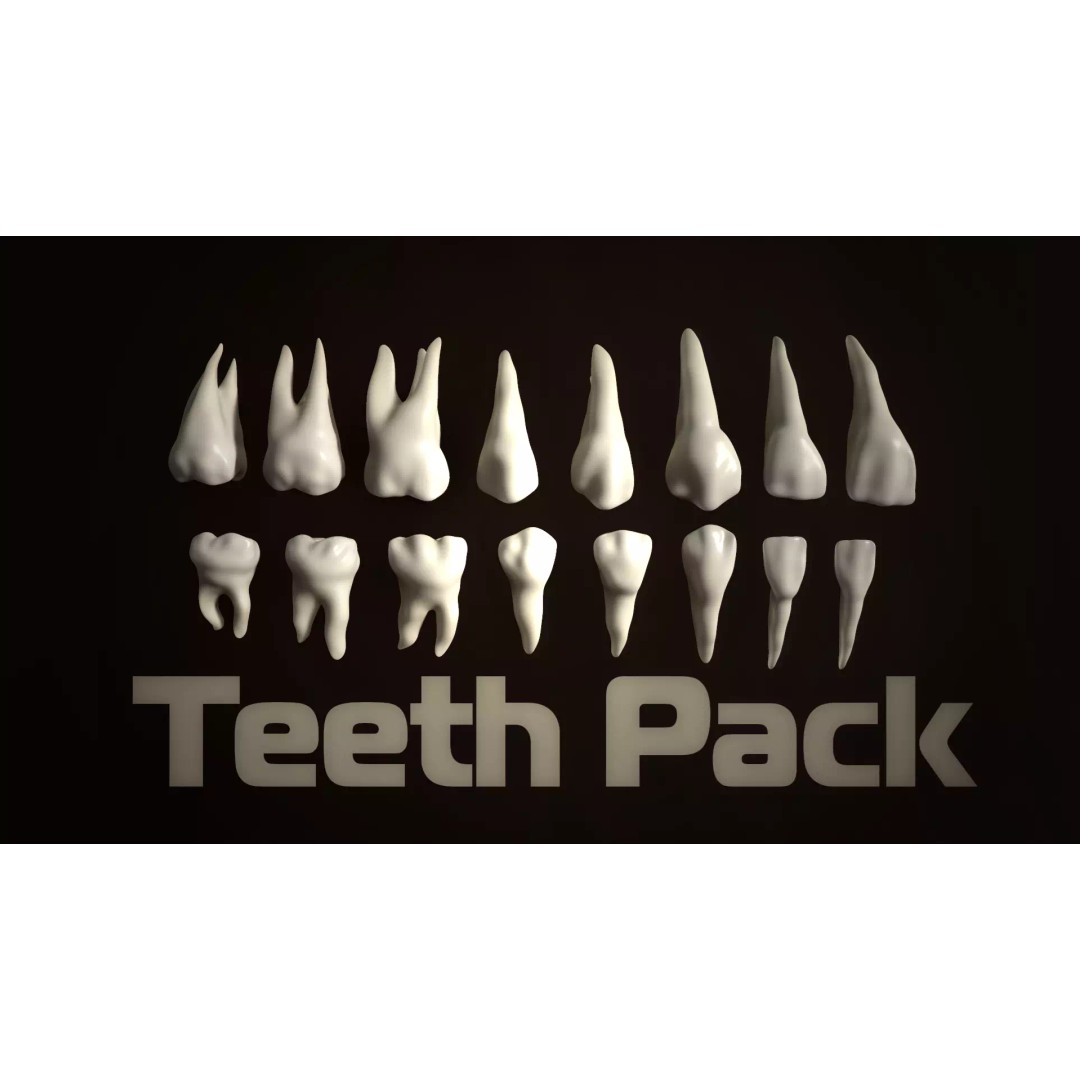 Teeth Pack 3D Model – Low Poly Game Asset, PBR Textures, FBX - View 2