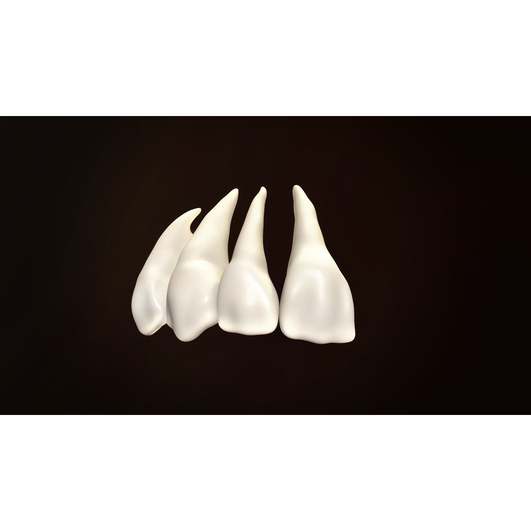 Teeth Pack 3D Model – Low Poly Game Asset, PBR Textures, FBX - View 3