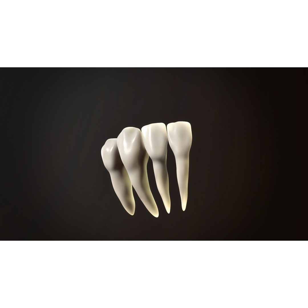 Teeth Pack 3D Model – Low Poly Game Asset, PBR Textures, FBX - View 7