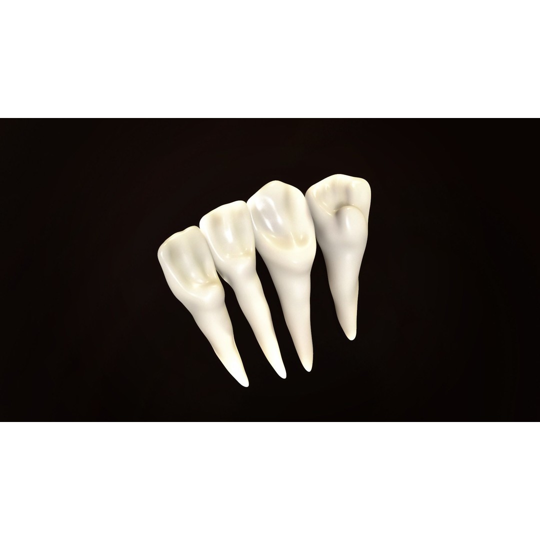 Teeth Pack 3D Model – Low Poly Game Asset, PBR Textures, FBX - View 8