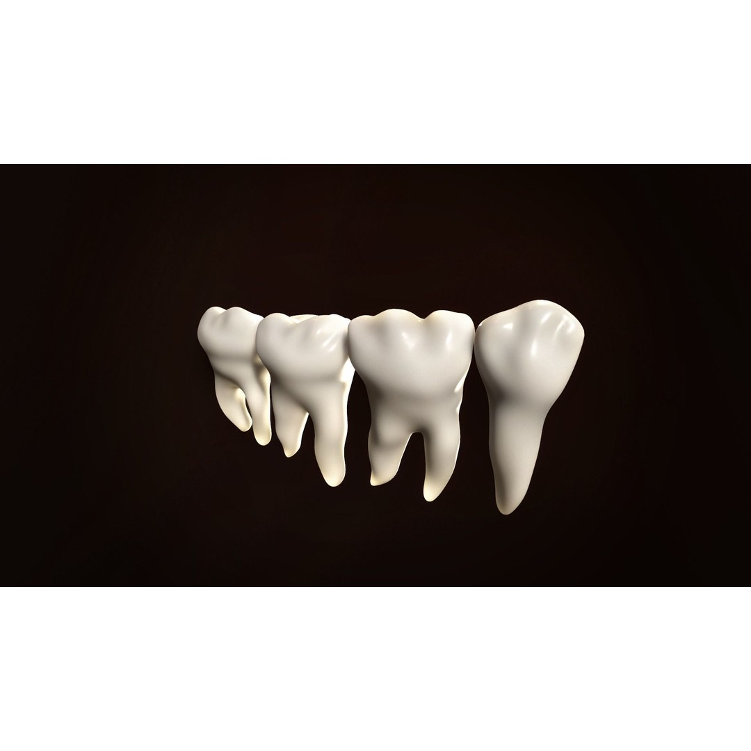 Teeth Pack 3D Model – Low Poly Game Asset, PBR Textures, FBX - View 9