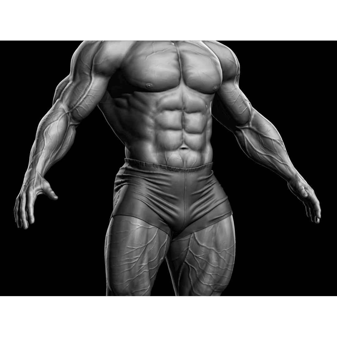 Bodybuilder Male 3D Model – High Poly Character Asset, OBJ