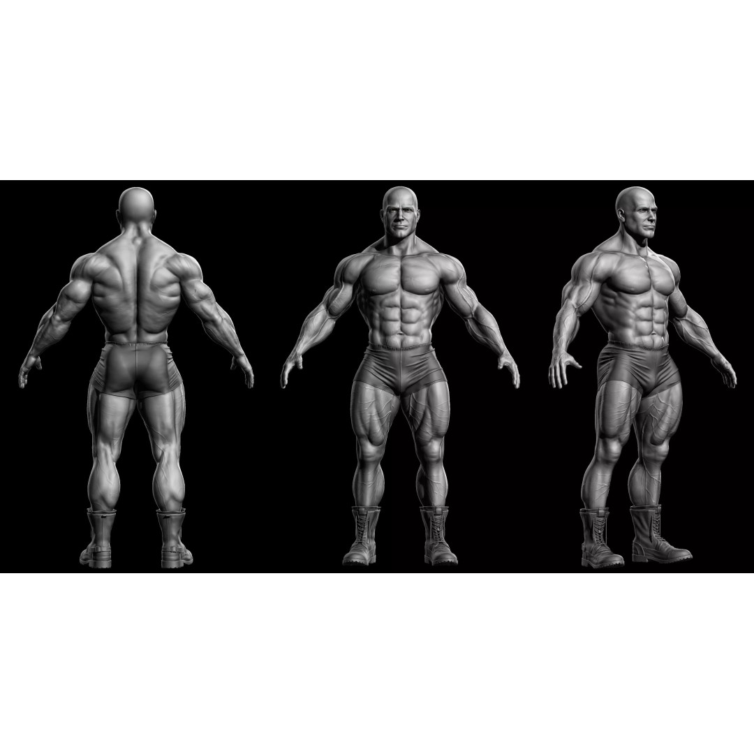 Bodybuilder Male 3D Model – High Poly Character Asset, OBJ - View 2