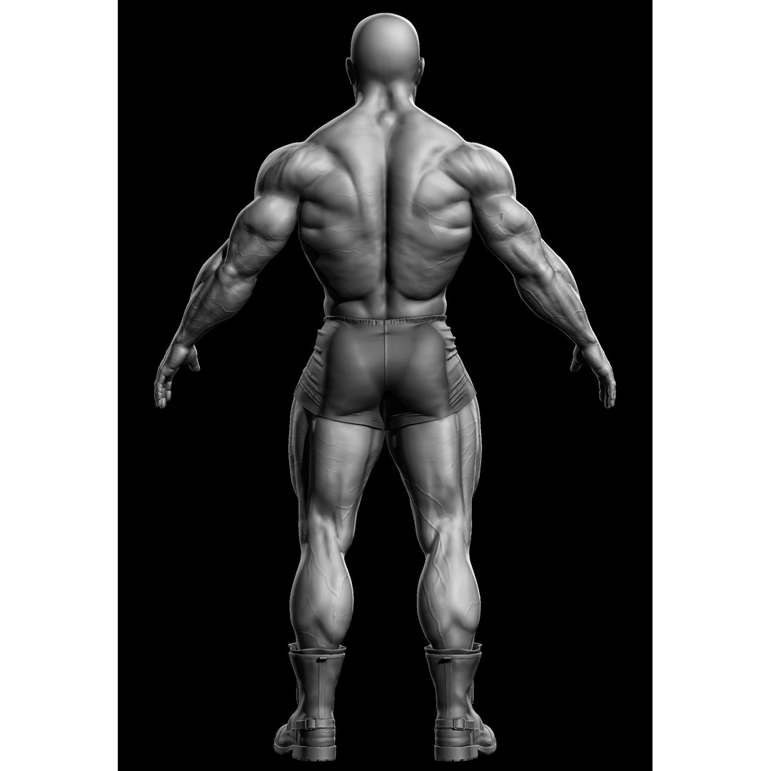 Bodybuilder Male 3D Model – High Poly Character Asset, OBJ - View 6