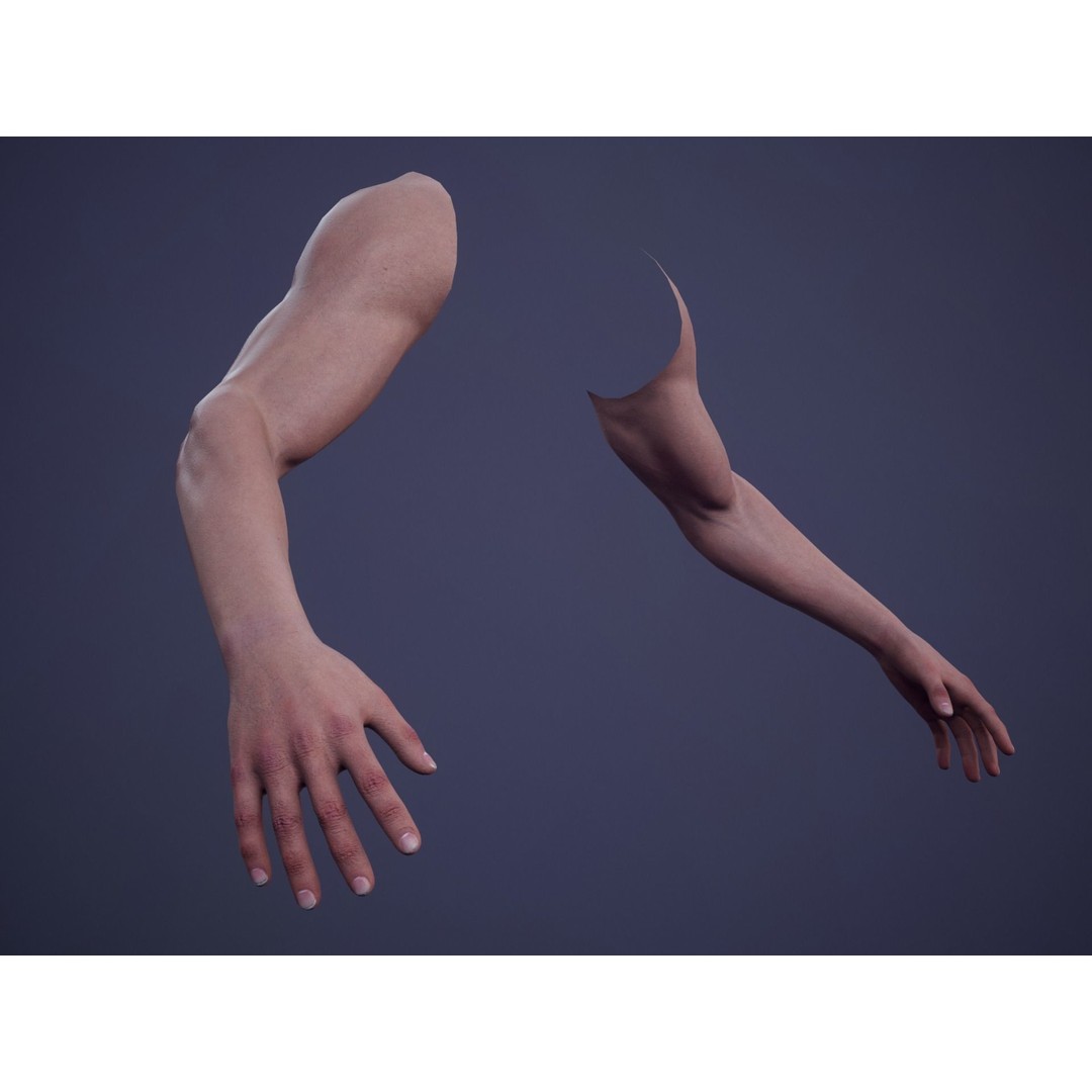 Realistic First Person Arms 3D Model – Low Poly Game Asset, FBX - View 3