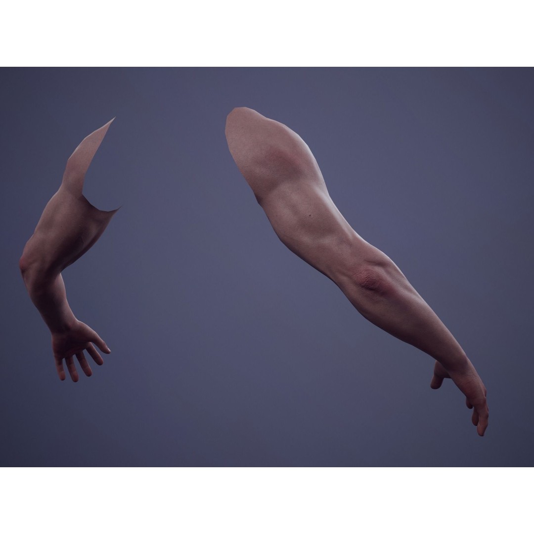Realistic First Person Arms 3D Model – Low Poly Game Asset, FBX - View 4