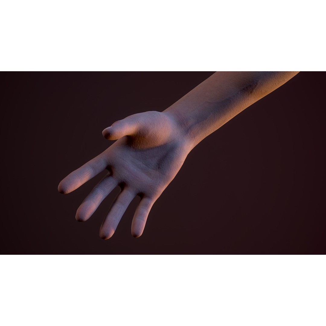 Realistic First Person Arms 3D Model – Low Poly Game Asset, FBX - View 7