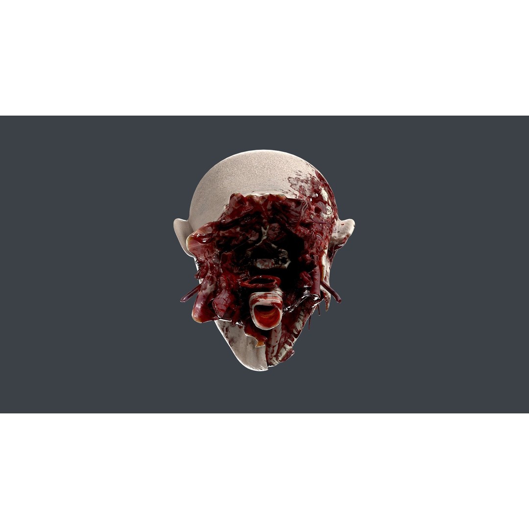 Severed Head 3D Model – Low Poly Character Asset with PBR Textures - View 10