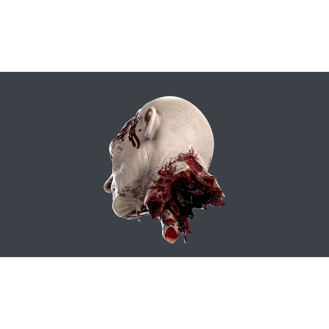 Severed Head 3D Model – Low Poly Character Asset with PBR Textures - View 11